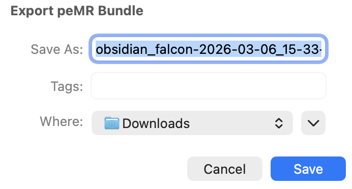 CareFlow Kids — Export bundle dialog